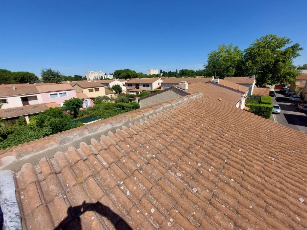 WhatsApp Image 2025-12-30 at 10.28.54 copie