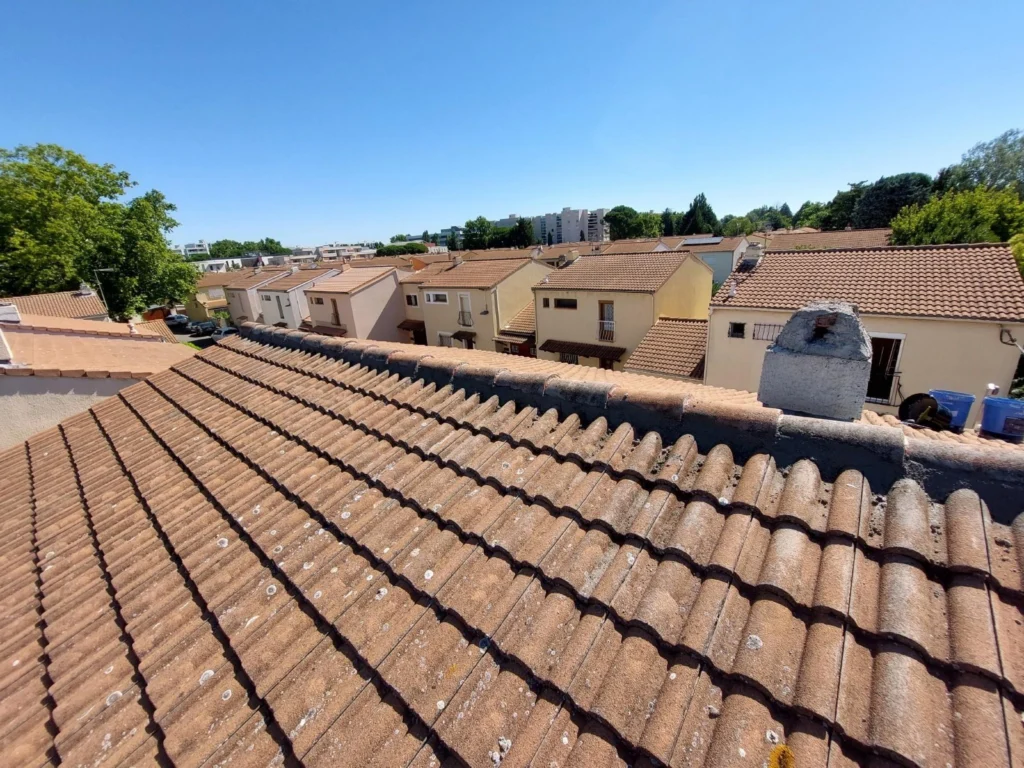 WhatsApp Image 2025-12-30 at 10.28.55 (1) copie