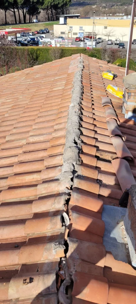 WhatsApp Image 2025-12-30 at 10.30.03 copie