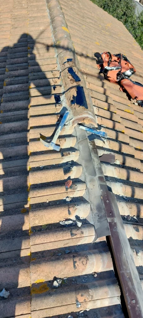 WhatsApp Image 2025-12-30 at 10.32.46 copie