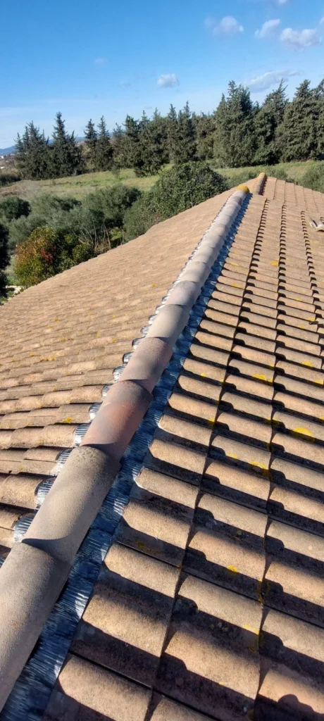 WhatsApp Image 2025-12-30 at 10.32.47 copie